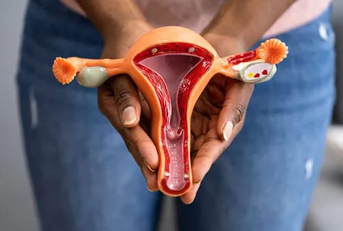hysterectomy home Dr KE Kabala Gynaecological Surgeries